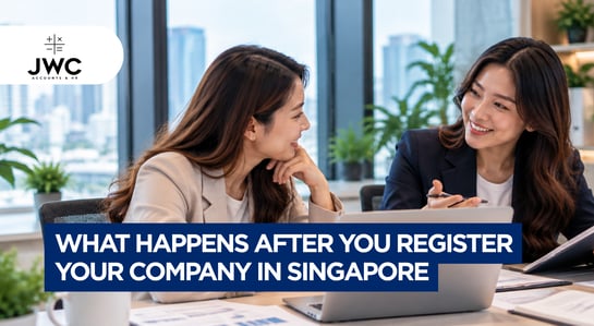 What Happens After You Register Your Company in Singapore
